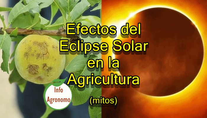 Calma bancarrota Por favor Efectos del eclipse solar en la Agricultura - InfoAgronomo