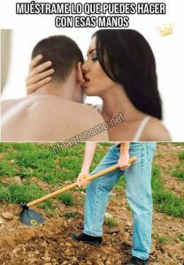 Memes de azadon