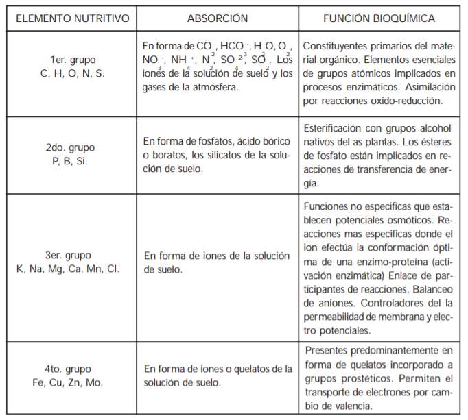 Clasificación de los nutrientes vegetales