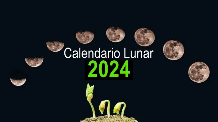 https://infoagronomo.net/wp-content/uploads/2022/01/calendario-lunar-2024.jpg