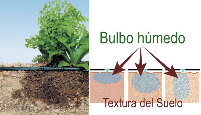 Formas de bulbo húmedo por tipos de suelo - InfoAgronomo
