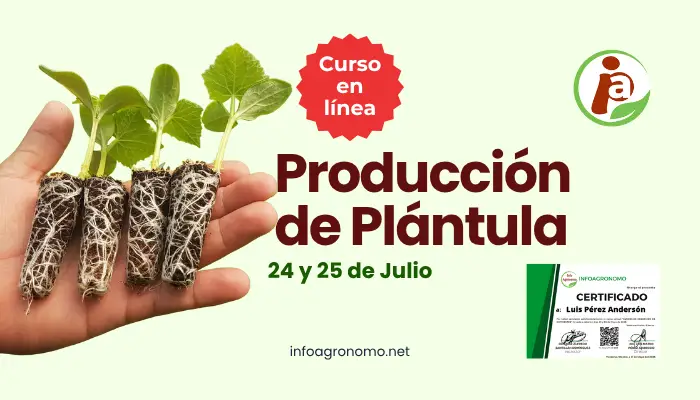 Información Agrícola - Cursos de Agronomía 10 Producción de plántula